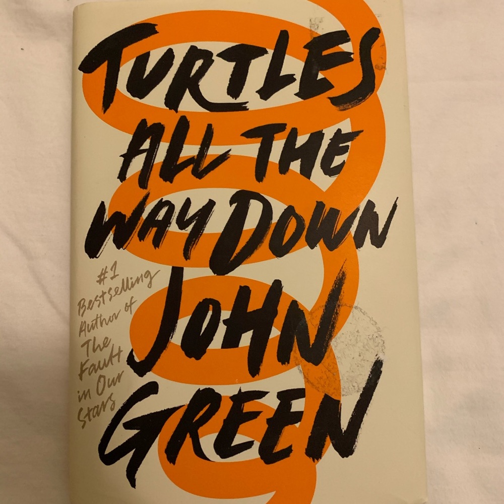 Turtles All the Way Down hardcover